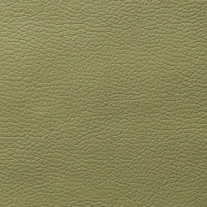 ECO 45